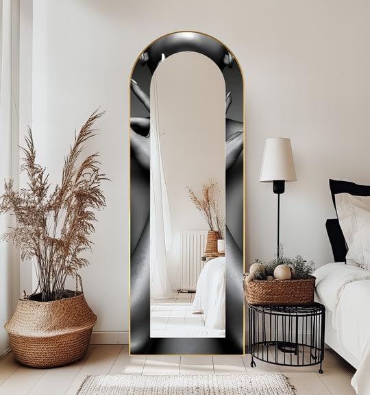 23,5’’W x 67’’H Eclipse Embrace – Black and White Floor Mirror Arched Full Lenght Mirror - Arch Full Body Stained Floor Mirror with Black Frame with Gold Frame