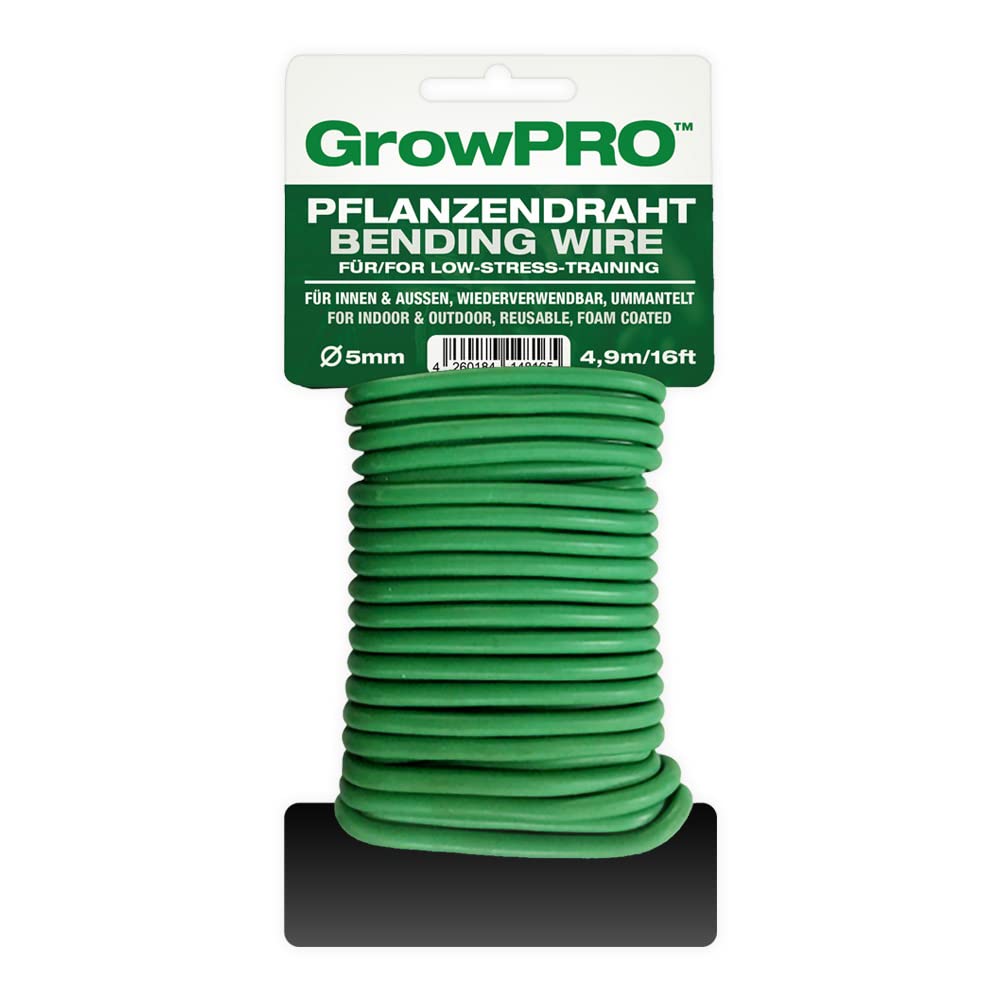 hhe olivenbaum XXL Olivenbaum 160-170cm kaufen  Green Me Up