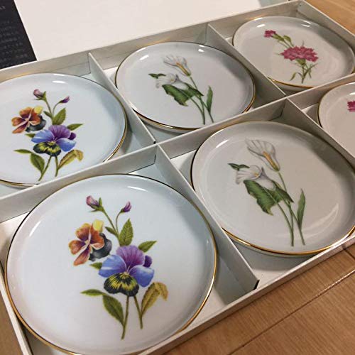 Amazon.co.jp: フィシテンバーグ 皿 プレート 貴重ヴィンテージ 6枚