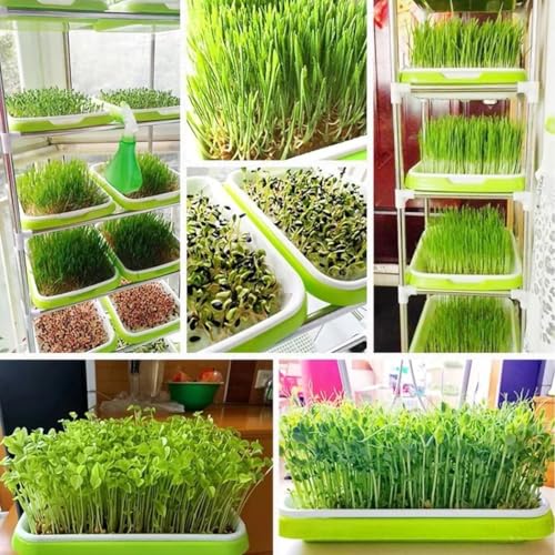 Floweringbeter Kit compacto de brotes de microgreens con 10 insertos de papel adecuado para espacios pequeños y apartamentos