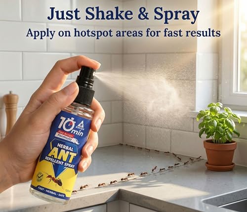 Image of Amish Herbal Ant Spray 100ml Pack Of 2 |10Minutes Result Guaranty|Removes Entire Ant colony|Powerful 100% Organic No Chemical Ant Repellent Spray for Home Kitchen Office Garden Long Lasting Protection Instant Action