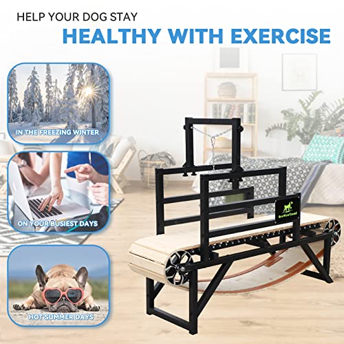 Bowwowtread Dog Treadmill, Dog Running Machine Exercise Equipment For Dog Indoor Home thumb #2