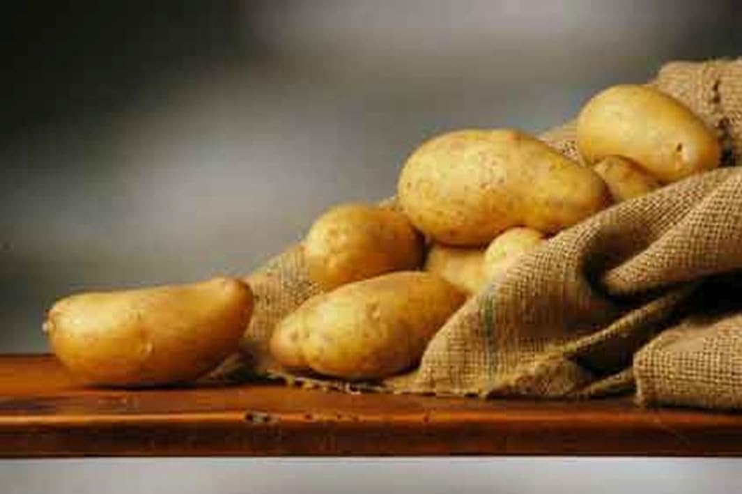 P. EMME Patate silane IGP kg.5 di PATATE coltivate in Sila Calabria Patate a pasta gialla