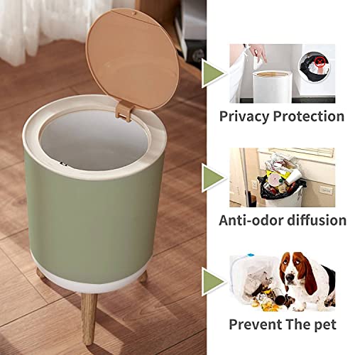 Small Trash Can With Lid For Bathroom Kitchen Office Diaper Plain Beautiful Sage Green Solid Color A Shade Grey Green Color Bedroom Garbage Trash Bin Dog Proof Waste Basket Cute Decorative #TOP2