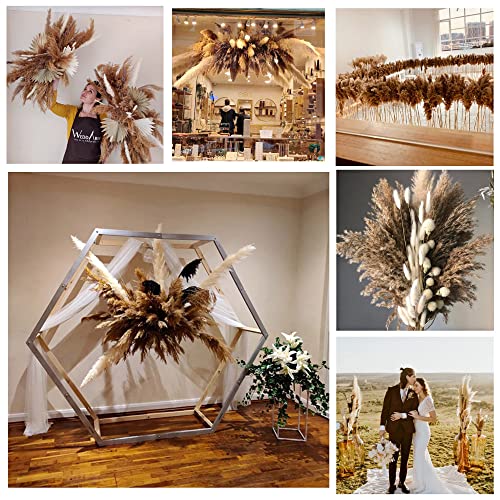 Pampas Grass Grande 50-60cm Decoración Floral Secada miniatura 5