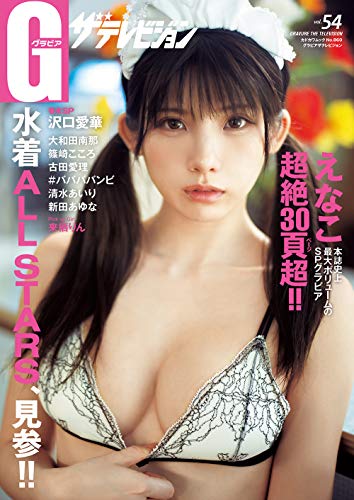無料電子書籍 おすすめ 【Amazon.co.jp 限定】グラビアザテレビジョン vol.54 えなこ大判ブロマイド絵 バイ