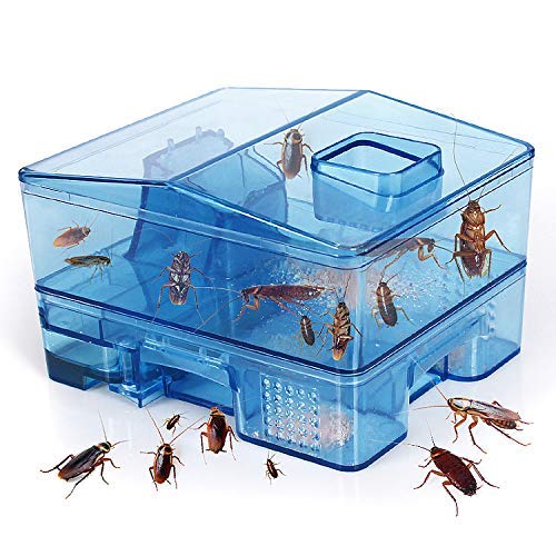 JEEZAO Trampa Cucarachas Asesina Caja Reutilizable,Cucarachas Capturar,Ambientalmente Segura,sin Contaminación es Seguro para niños y Mascotas (Azul)