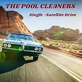 The Pool Cleaners