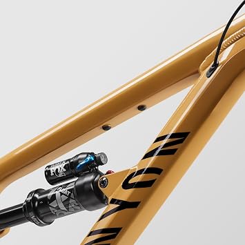 Canyon Spectral 6