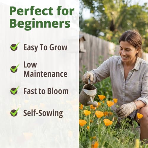 Image of HOME GROWN California Poppy Golden West Seeds, 6000 Spring Flower Seeds for Planting 2026, Perennial Poppy Seed for Planting Outdoors, Herb Seeds (Eschscholzia californica)