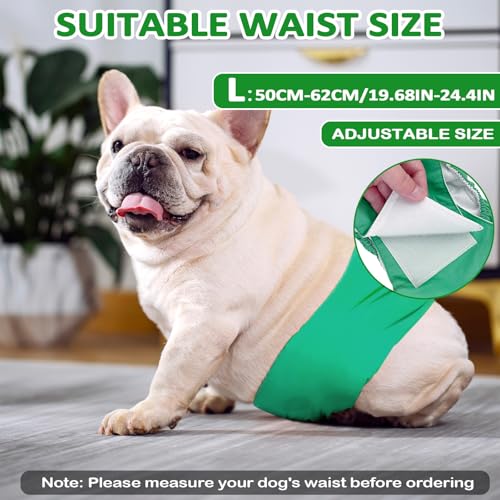 Dalephoric 3 Stück Hundewindeln für Rüden, Wiederverwendbare Hundewindeln, Größe L, Taillenumfang 50–62 cm, Rüdenwindel, Windeln für Männliche Hunde, Waschbar (Schwarz, Grün, Grau)