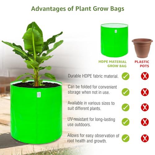 Image of Anandi Green's HDPE 24x24 Inch Extra Large Grow Bag 260 GSM Round for Big Fruit Trees Lemon, Guava, Papaya, Pomegranate, Banana Tree Planter Pot for Terrace & Garden