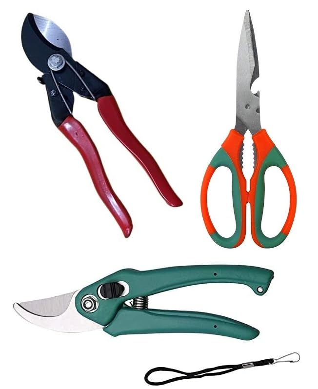 Aarav Heavy Duty Plant Cutter, Garden Scissors, Plant Branch Cutter, Pruner Cutter, Flower Cutter, Pruning Secateur For Home Gardening Tool (Double Cut, Pruner Cutter, Scissors) Set of 3 (B0CHB46GF6) Amazon Price History, Amazon Price Tracker