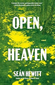 Open, Heaven: A Novel