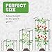 Tomato Cage Square - Large Trellis Stakes and Plant Support Structures for Vegetables and Climbing Plants - Tall Tomato Cages for Garden, Pots, Raised Garden Bed Outdoor Supplies (3 Pack - Up to 41