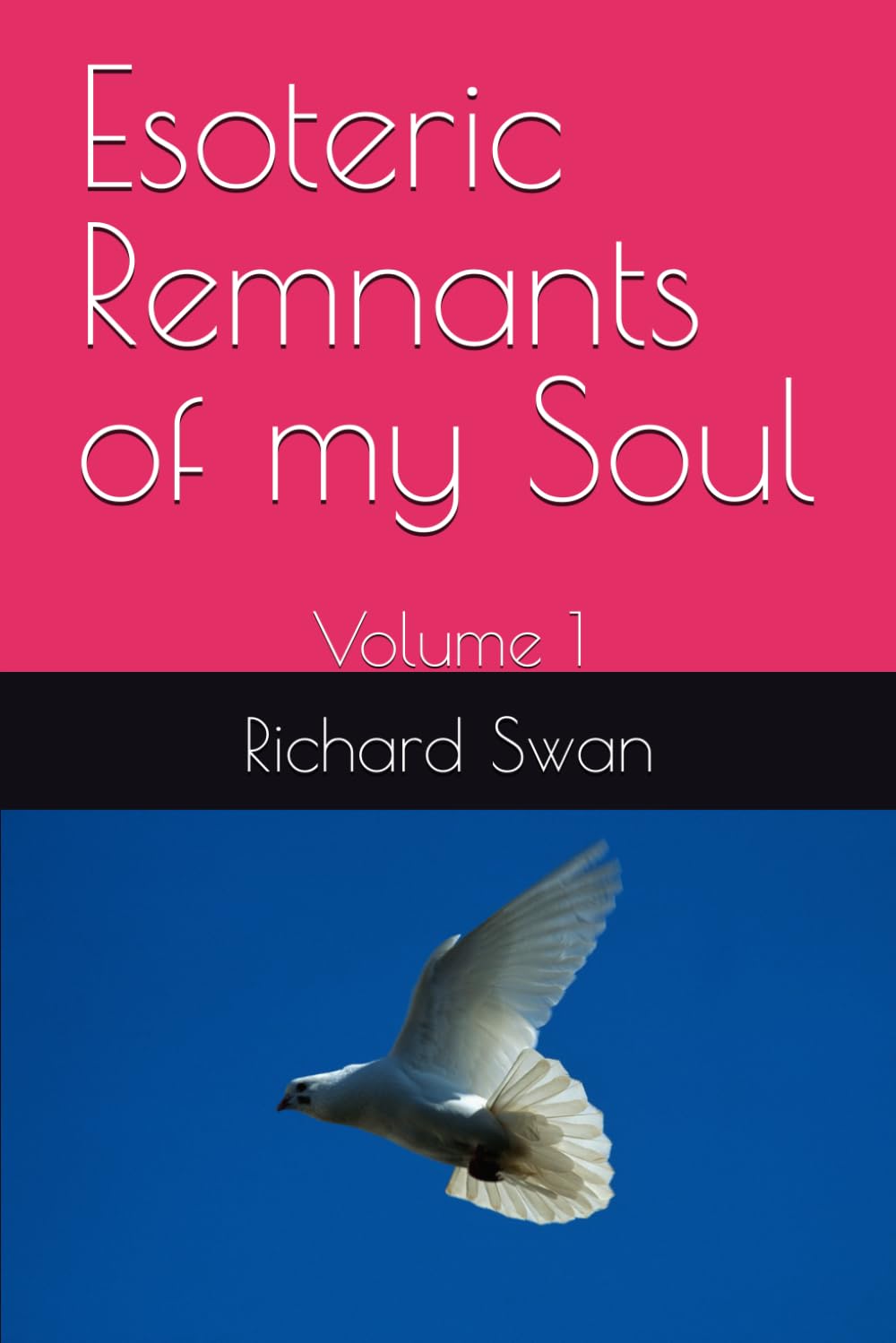 Esoteric Remnants of my Soul: Volume 1