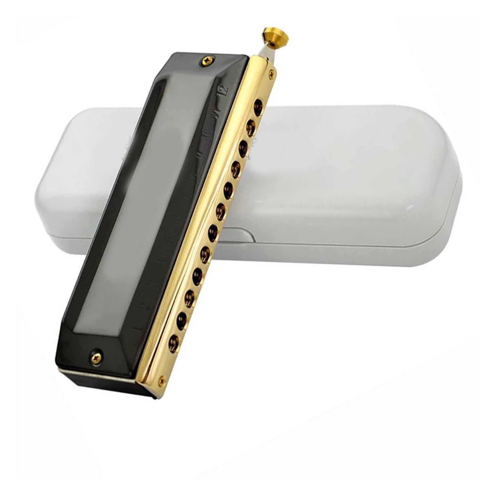 Armonica Professionale 12 Fori 48 Note Organetto A Bocca Arpa Strumento Musicale Armonica Cromatica Strumento Professionale armonica a bocca professionale (Color : Black)
