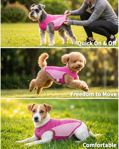 Image of CuteBone Cooling Stretch Sport Dog Tank - Athletic Fan Pet Jersey - Color Block Pet Vest for Small Dogs, Cats