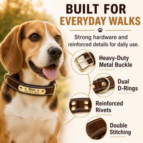 AM PET Vegan Leather Dog Collar