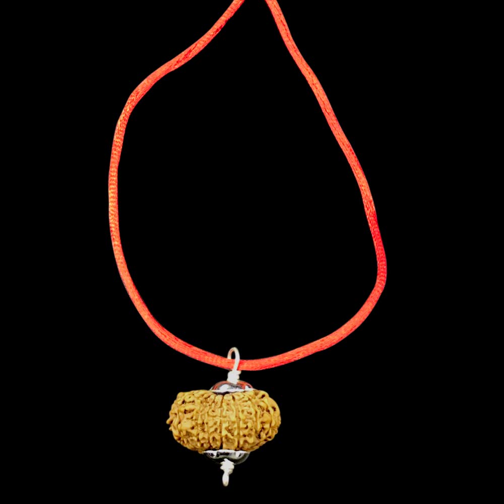 Vishaka Arts 16 Mukhi Nepal Rudraksha /Sixteen Face/ Lord Mahamritunjaya in Pure Silver Pendant IGL Certified 100% Original Geniune Bead All Size (Tiny 22mm-24mm)