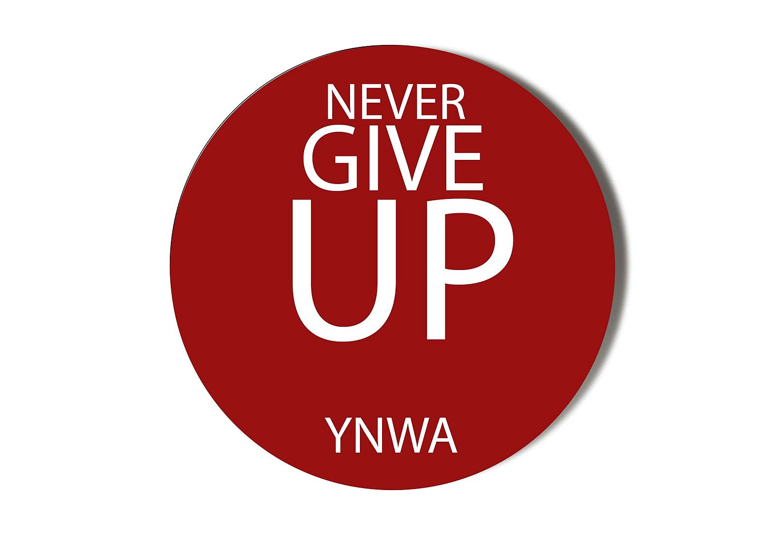 Gift Insanity Multi Lfc Never Give Up Ynwa Red White Lettering 10 X 56Mm Vinyl Stickers Pack Of 10