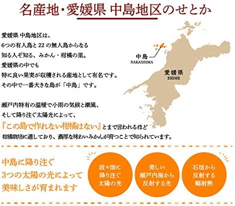 みかん せとか 赤秀 匠と極 4L～L 8～15玉 3kg 愛媛県 中島産 ＪＡえひめ中央 ミカン 蜜柑 ギフト 贈り物
