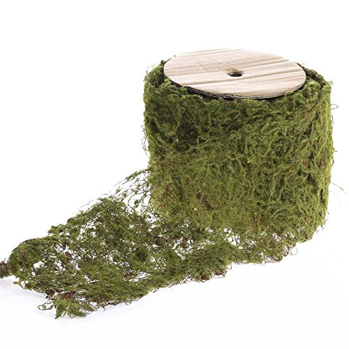 6.75 Feet of Bendable Wired Moss Ribbon for Embellishing Fairy Gardens, Terrariums and Crafts