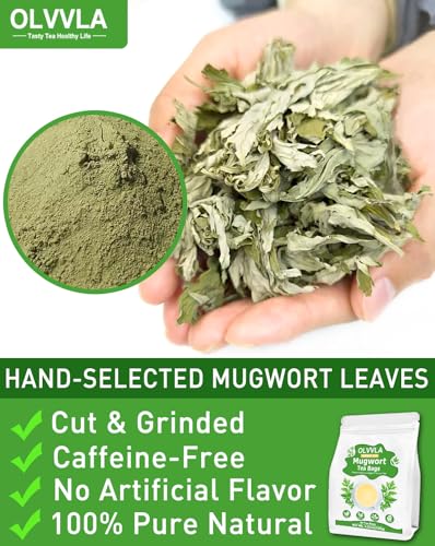 Image of Olvvla - Premium Mugwort Tea - 2g X 60 Count - 100% Pure Natural Mugwort Tea Bag - Caffeine-free - Mugwort Herb Dried - Rich in Antioxidants & Support Digestion