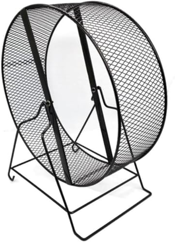 LamanttX̃jOzC[AybĝAbLOJ[AÂȒ܌AȑsʒuASAAȒPAX (BS,21cm)