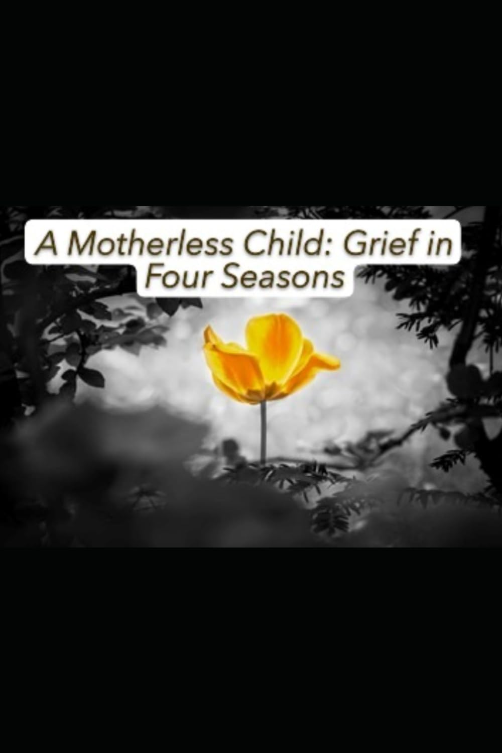 A Motherless Child: Grief in Four Seasons: A Journey We Survived Together