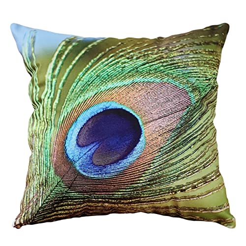 whooplaArt Peacock Feather Pillow Cover 18x18 Inch, Luxury Velvet Decorative Throw Pillow Case, Vibrant Bird Feather Print Cushion Cover for Sofa, Couch, Bed & Living Room Decor