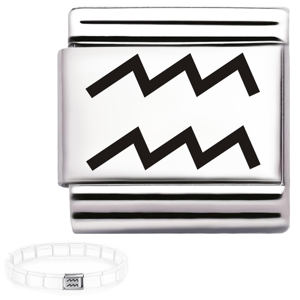 Andska Zodiac Charm for Italian Bracelet 9mm Steel Horoscope Star Sign Link Aries Taurus Gemini Cancer Leo Virgo Libra Scorpio Sagittarius Capricorn Aquarius Pisces (Aquarius charm)