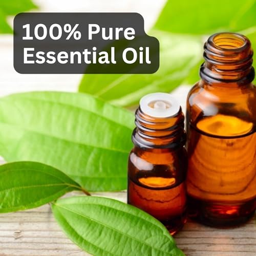 Image of Aroma Treasures Cinnamon Leaf Essential Oil | 100% Pure & Natural Theraputic Essential oil for healthy Skin, body, Aromatherapy - 10ml