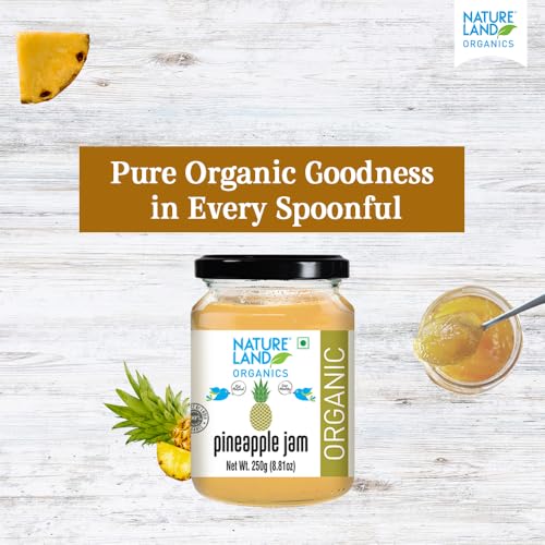 Image of Natureland Organics Pineapple Jam 250gm - Healthy Organic Jams (Pack of 3)
