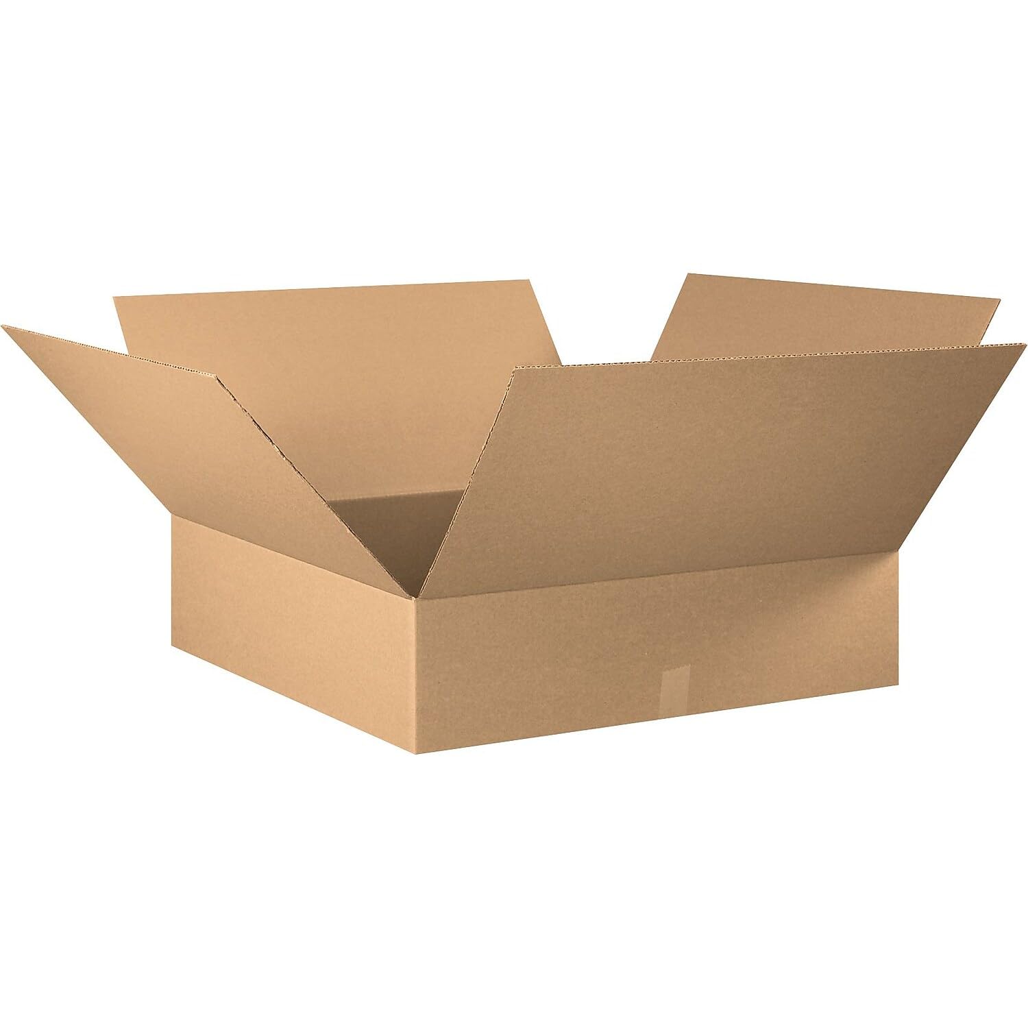 https://m.media-amazon.com/images/I/51O+xRuHveL.jpg