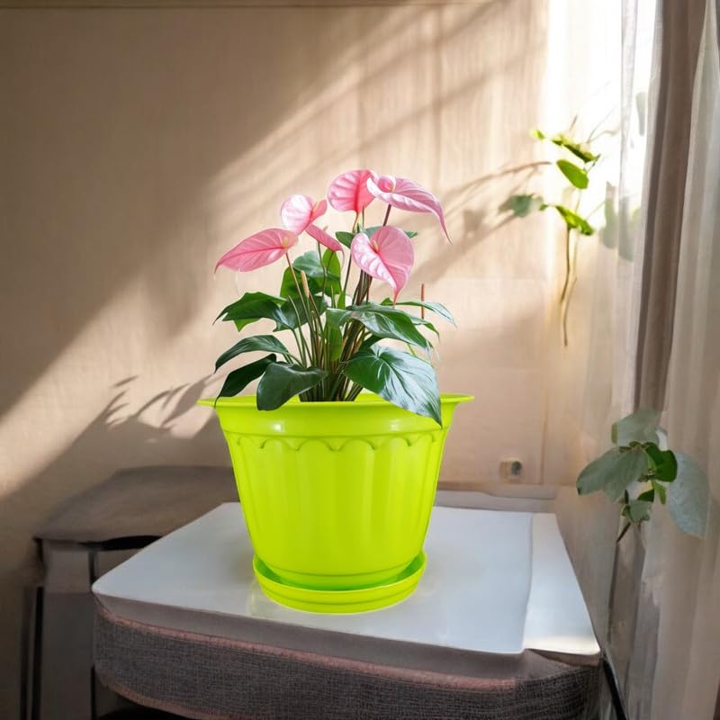 Image of GARDENS NEED 8 Inches Jasmine Round Flower Pot with Tray | Set of 4 | Lemon Green | Plastic Planter Pots for Indoor & Outdoor Home, Office & Balcony Decoration