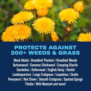 BioAdvanced All-In-One Lawn Weed and Crabgrass Killer I, Ready-to-Use, 24 oz