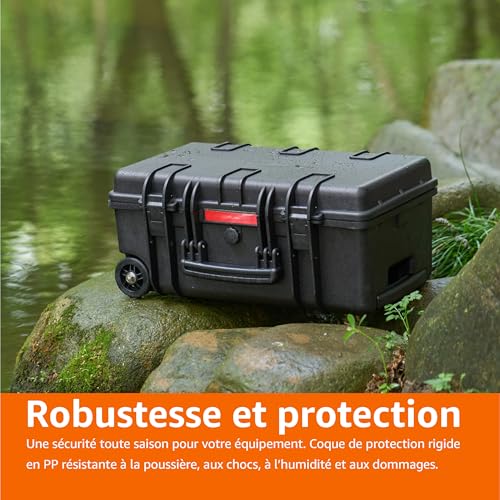 Coffret rigide de protection Amazon Basics pour objectifs et drones noirs - 6