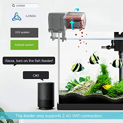 Alimentador automático de peixes da Decdeal, recipiente de aquário para alimentação, dispensador de