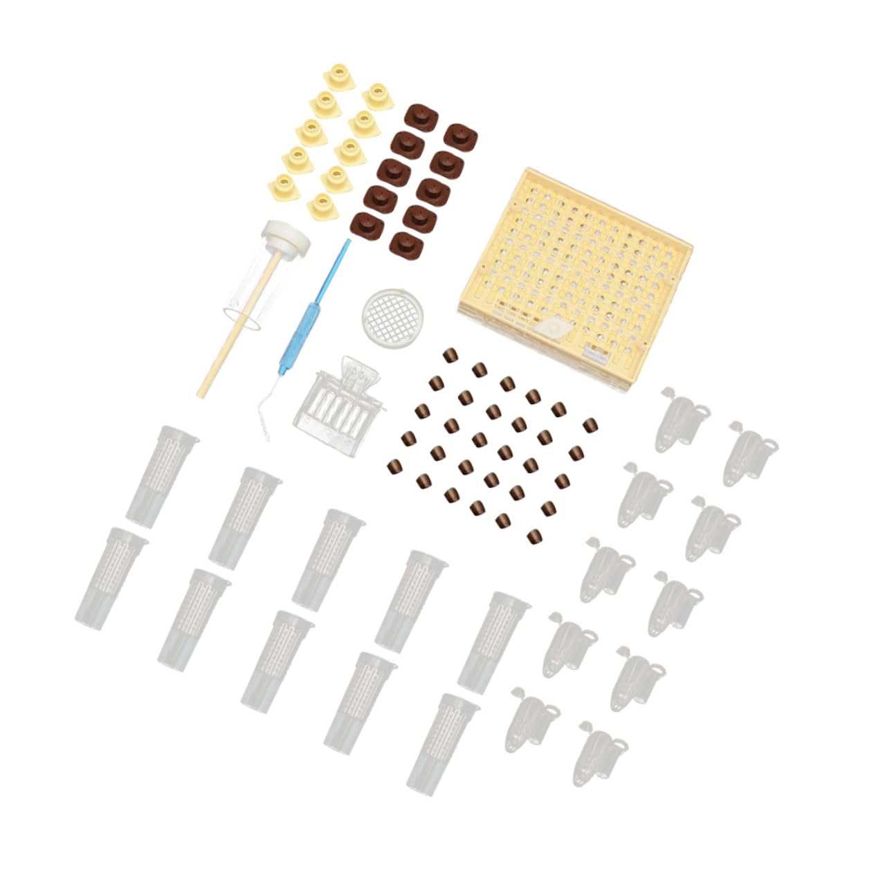 Kit de Cría de Reinas para Apicultura Caja Protectora Abs | Sistema de Cultivo, Uso Sencillo y Práctico, Ligero, para Manejo de Colmenas en Temporada de Reproducción Color Aleatorio