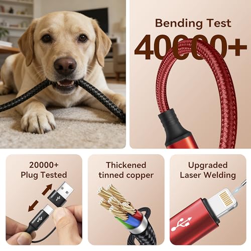 Minlu Dual Typ-C Multi Ladekabel, 4 in 2 Multi USB Kabel, USB-A/C zu Dual USB-C+Lightning+Micro USB-Ladekabel, Geflochtenes Universal-Ladekabel für iPhone 17 16 15 14 13/Galaxy/Laptop/Android/Tablet 4