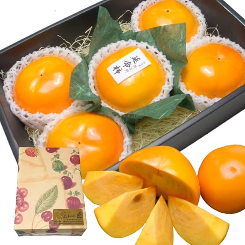 ޗǌY, xL` `, pϔ, r^~CLx, Mtg, v[g (3LTCYi5j)