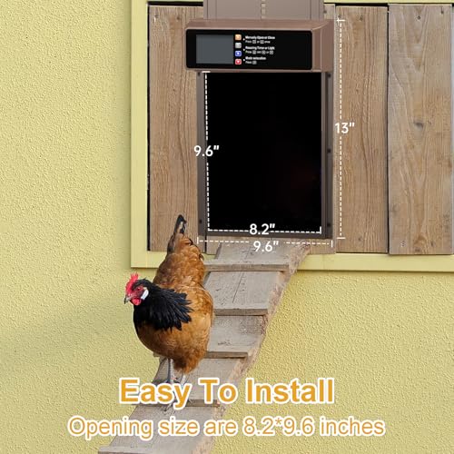 Chicken Coop Automatic Door