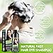 Black Hair Dye Shampoo for Gray Hair, 3 in 1 Semi-Permanent Hair Color Shampoo for Women & Men, Natural Herbal Ingredients