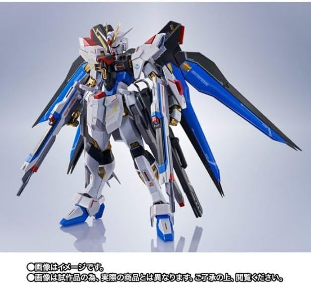 Amazon.co.jp: METAL ROBOT魂 ＜SIDE MS＞ ストライクフリーダム