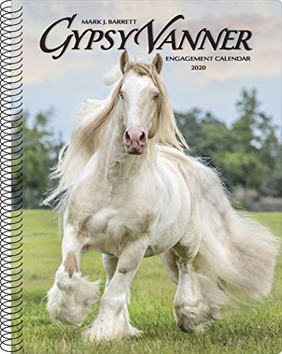 Gypsy Vanner Horse 2020 Engagement Calendar