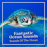 Oceans of Sound