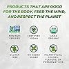 Vega-One-Organic-Chocolate-Meal-Replacement-Protein-Powder-Vegan-Plant-Based-Superfood-Vitamins-Probiotics-Dairy-Free-Gluten-Free-Pea-Protein-for-Women-and-Men-16-Pounds-17-Servings Vega Organic All-in-One Vegan Protein Powder, Chocolate - Superfood Ingredients, Vitamins for Immunity Support, Keto Friendly, Pea Protein for Women & Men, 1.6 lbs (Packaging May Vary)