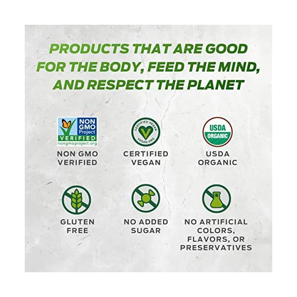 Vega-One-Organic-Chocolate-Meal-Replacement-Protein-Powder-Vegan-Plant-Based-Superfood-Vitamins-Probiotics-Dairy-Free-Gluten-Free-Pea-Protein-for-Women-and-Men-16-Pounds-17-Servings Vega Organic All-in-One Vegan Protein Powder, Chocolate - Superfood Ingredients, Vitamins for Immunity Support, Keto Friendly, Pea Protein for Women & Men, 1.6 lbs (Packaging May Vary)