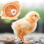 Küken Booster - optimale Küken Aufzucht - essenzielle Hühner Vitamine (Vitamin A, D, E, C & B) - mit Probiotika & Oregano für gesunde Verdauung & Darmflora - optimales Küken Wachstum - 180g – Bild 3